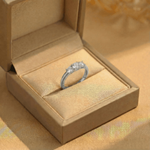 Nhẫn Bạc Phong Cách Pháp Cổ Điển Bề Mặt Xước Nhẹ Thiết Kế Đôi